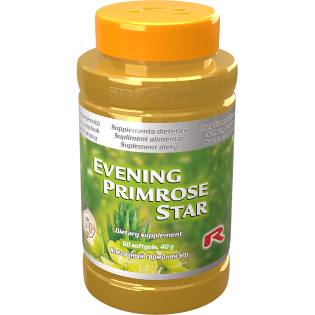 EVENING PRIMROSE STAR