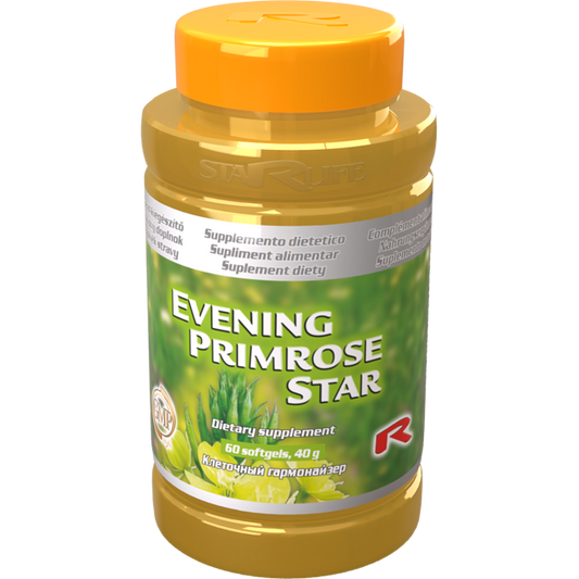 EVENING PRIMROSE STAR