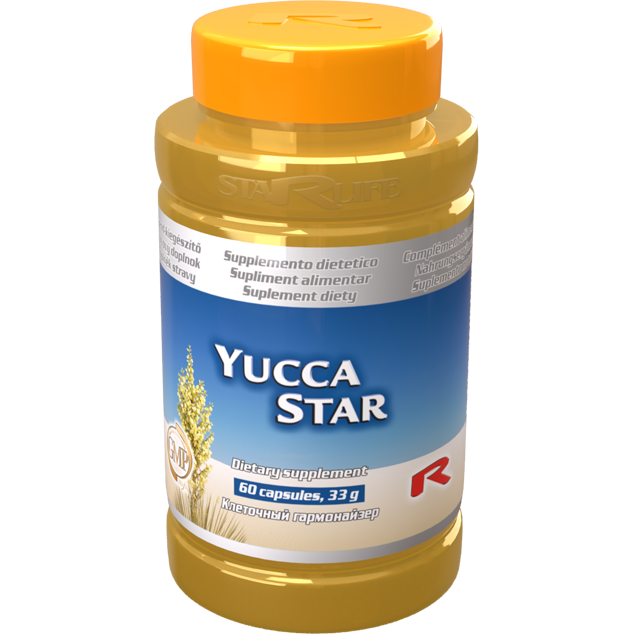 YUCCA STAR